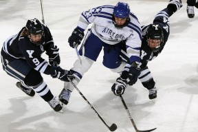 体育精神主题演讲比赛传播正能量，体育精神主题演讲比赛传播正能量文案