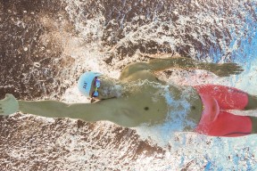 南非羚羊队：稳固防线与精准进攻，成为其他球队难以逾越的巅峰